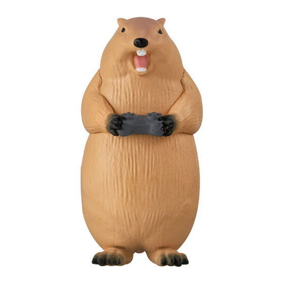 Animal Gamer [5.Marmot]