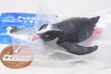 PukaPuka Penguin [2.Adelie Penguin]