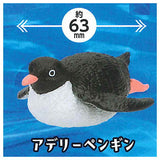 PukaPuka Penguin [2.Adelie Penguin]