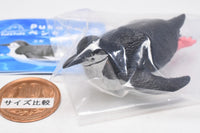 PukaPuka Penguin [3.Chinstrap Penguin]