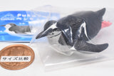 PukaPuka Penguin [3.Chinstrap Penguin]