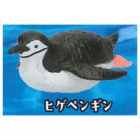 PukaPuka Penguin [3.Chinstrap Penguin]