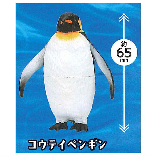 PukaPuka Penguin [5.Emperor Penguin]