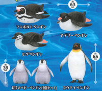 PukaPuka Penguin [All 5 type set(Full Complete)]