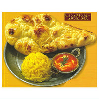 Indian cuisine Collection [1.Naan, chicken curry and saffron rice]