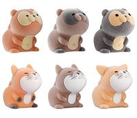 Manjutanukitsune [All 6 type set(Full Complete)]