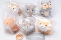 Manjutanukitsune [All 6 type set(Full Complete)]