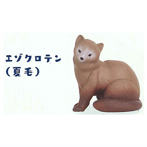 Kitaguni Zukan [1.Ezo sable (summer fur)]