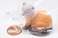 Kitaguni Zukan [2.Ezo sable (winter fur)]