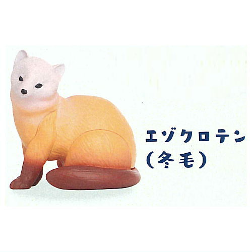 Kitaguni Zukan [2.Ezo sable (winter fur)]