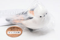 Kitaguni Zukan [3.Japanese long-tailed tit (adult)]