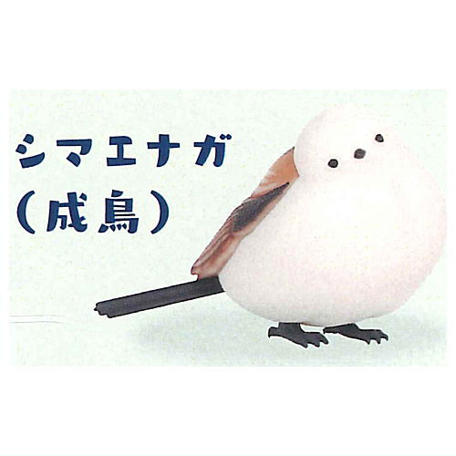 Kitaguni Zukan [3.Japanese long-tailed tit (adult)]
