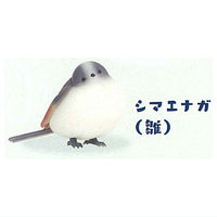 Kitaguni Zukan [4.Japanese long-tailed tit (chick)]