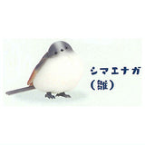 Kitaguni Zukan [4.Japanese long-tailed tit (chick)]