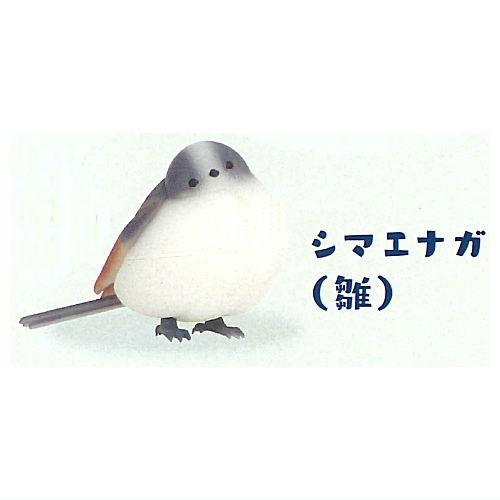 Kitaguni Zukan [4.Japanese long-tailed tit (chick)]