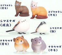 Kitaguni Zukan [All 6 type set(Full Complete)]