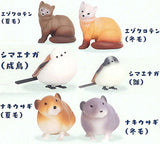 Kitaguni Zukan [All 6 type set(Full Complete)]
