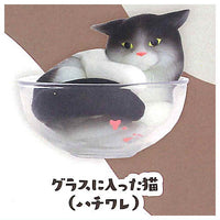 Nekohaekitai [2.Glass nihaittaneko (hachiware)]