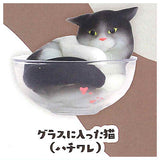 Nekohaekitai [2.Glass nihaittaneko (hachiware)]
