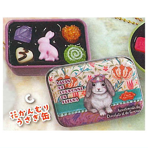 Real! Canned chocolate & gummy mascot [3.Hanakanmuri rabbit can]