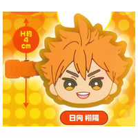 Haikyu!! Mini Colle! Bangs Clip [1.Shoyo Hinata]