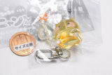 Pochacha nyan-chan Jewel Bead Charm [8.Cream]