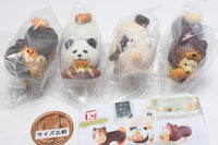 Wood Carved Otsukai Shiba Inu [All 4 type set(Full Complete)]