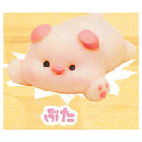 Zukkoke Baby Figure Mascot [5.Pig]