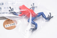 Capsule Q The complete of Dangerous and Harmful creature [3.Poison dart frog [Strawberry poison dart frog]]