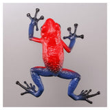 Capsule Q The complete of Dangerous and Harmful creature [3.Poison dart frog [Strawberry poison dart frog]]