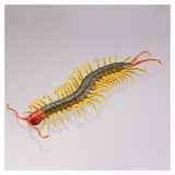 Capsule Q The complete of Dangerous and Harmful creature [4.Scolopendra mutilans]