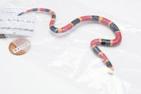 Capsule Q The complete of Dangerous and Harmful creature [5.Coral snake]