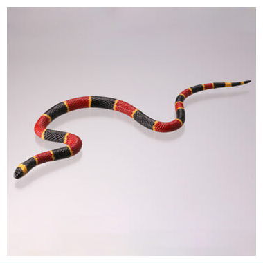 Capsule Q The complete of Dangerous and Harmful creature [5.Coral snake]