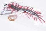 Capsule Q The complete of Dangerous and Harmful creature [8.Scolopendra multidens]