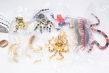 Capsule Q The complete of Dangerous and Harmful creature [All 8 type set (Full Complete)]