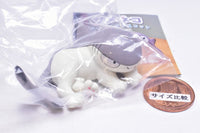 Sameneko Figure Mascot [2.Nesoberi]