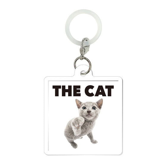 THE CAT AND FRIENDS Flat Mejirushi Accessory [1.British Shorthair]