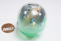Gray meron Little Boarder [3.Senbei Boarder]