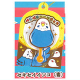 Peropero kotori chocolate mascot [3.Budgie (blue)]