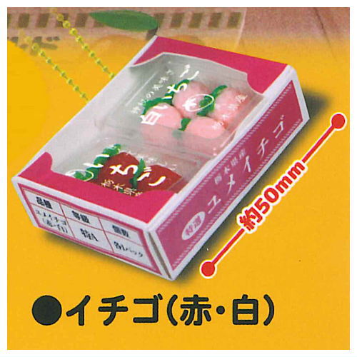 Punitto boxed fruit mascot ball chain Part.4 [5.Strawberry (red white)]