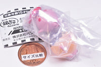 Tsukiji Gindako Miniature Charm Collection Part.3 [6.Takobo- & Takobo- nootomodachi]