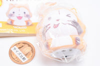 Fuwattohikaru RASCAL Mascot [2.Perori]