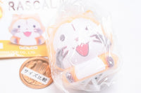 Fuwattohikaru RASCAL Mascot [3.Wink]