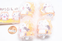 Fuwattohikaru RASCAL Mascot [All 4 type set(Full Complete)]