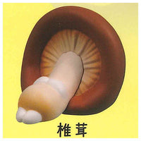 Shakittoshinasai! Mascot figure Part.2 [1.Shiitake]