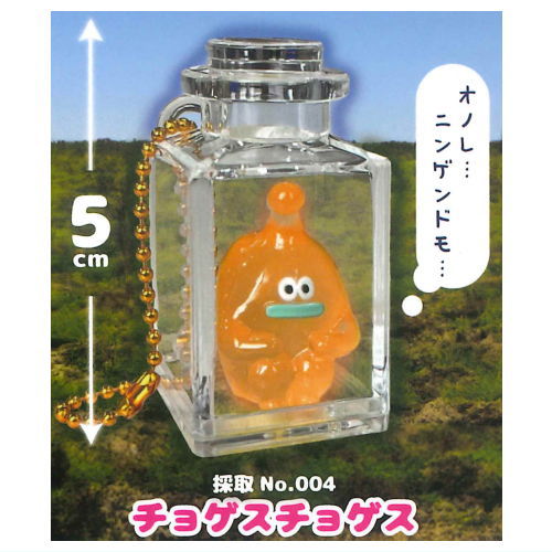 Shinryakushippai Dokonandesu Bottled keychain [4.Chogesuchogesu]