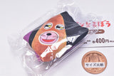 Pan Dorobo Book cover [3.Pan Dorobo to Mysterious French Bread]