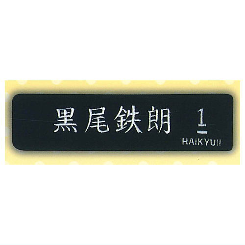 Haikyu!! Hairband [4.Tetsuro Kuroo]