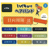 Haikyu!! Hairband [All 10 type set(Full Complete)]