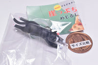 Gakeppuchi nyanko mejirushi charm [4.Hachiware]